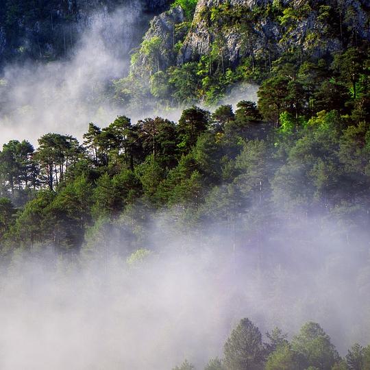 Določa, kje se postavi meteorološka postaja.